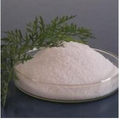 阳离子聚丙烯酰胺