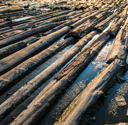 木业行业的应用